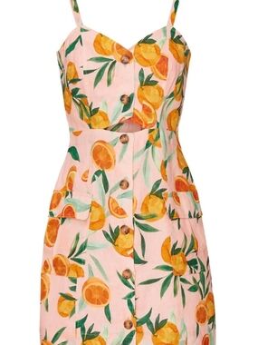 Adara RTR Clementine Dress By Parker Size 6